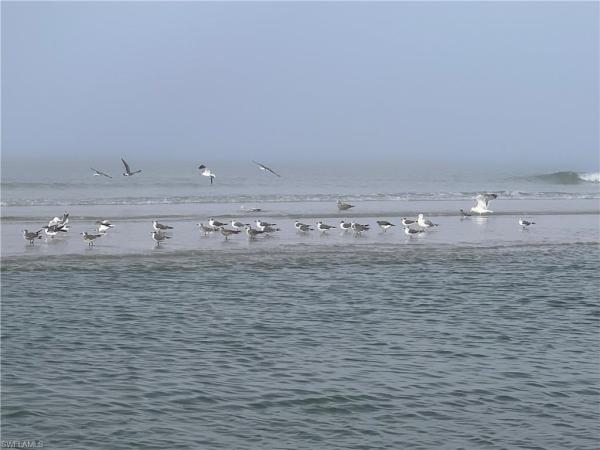 Naples Park, 10082 Vanderbilt Dr, Naples, Florida 34108, image 1