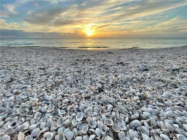 Ambassador, 26300 Hickory Blvd #1005, Bonita Springs, Florida 34134, image 2