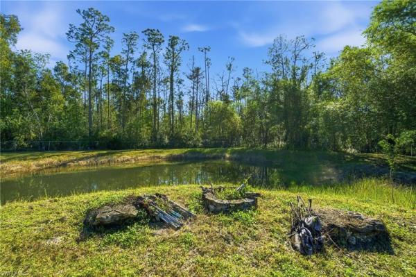 Fort Myers Residential, 11661 Palomino Ln, Fort Myers, Florida 33912, image 1