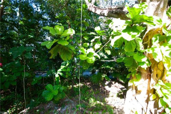 Bent Pines Villas, 1313 W Solana Rd #A3, Naples, Florida 34103, image 1