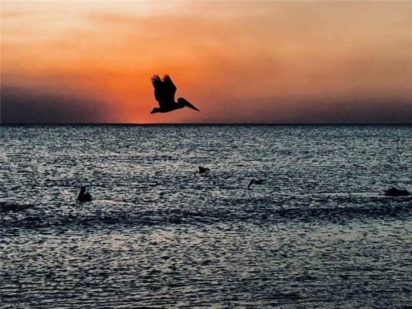 Marco Beach, 278 Bass Ct, Marco Island, Florida 34145, image 1