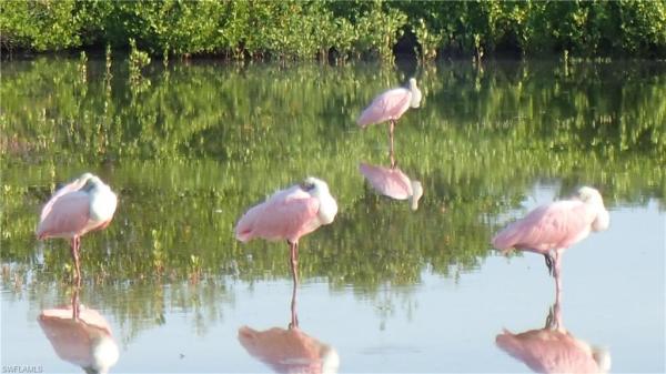 21420 Bay Village Dr #216, Fort Myers Beach, Florida 33931, image 1