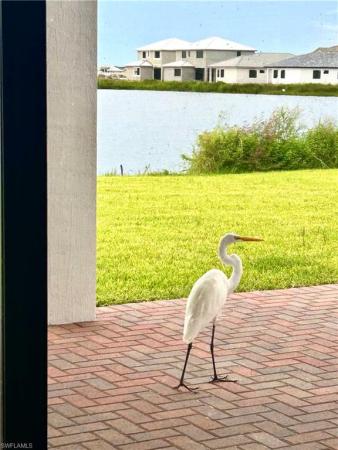 5077 Gambero Way, Naples, Florida 34142, image 1