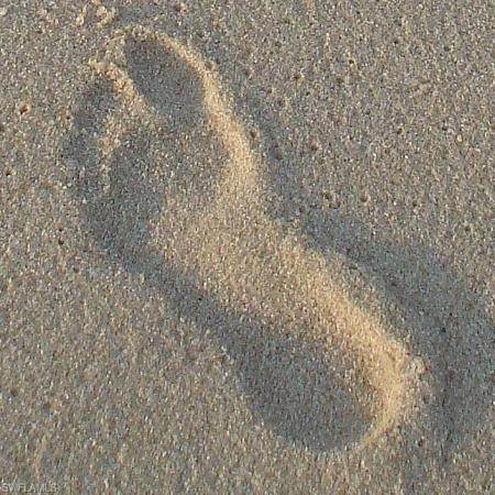 267 Barefoot Beach Blvd #X604, Naples, Florida 34134, image 2