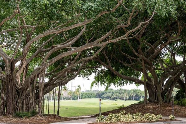 2314 Tradition Way #101, Naples, Florida 34105, image 1