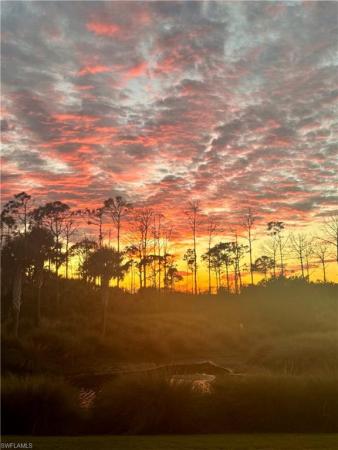 Isles Of Collier Preserve, 6399 Negril Isle Dr, Naples, Florida 34113, image 1