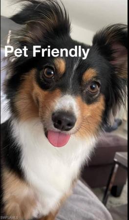 Coconut Grove At Olde Naples, 3999 Guava Dr, Naples, Florida 34104, image 1