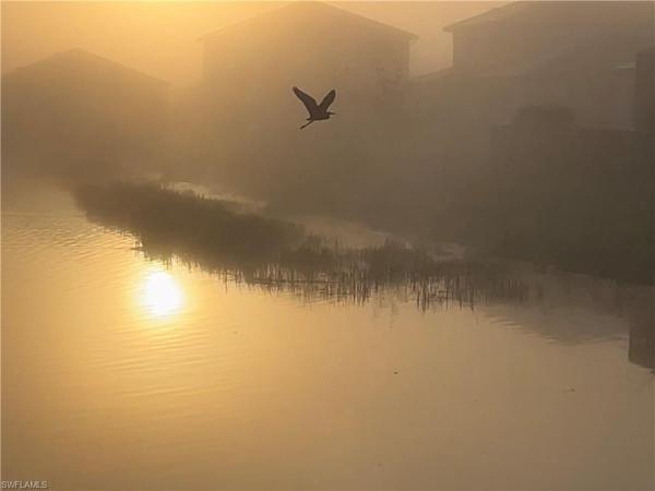 Maple Ridge At Ave Maria, 5114 Penella Ave, Ave Maria, Florida 34142, image 1