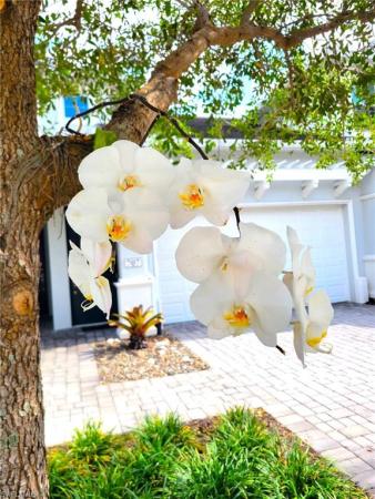 6954 Avalon Cir #703, Naples, Florida 34112, image 1