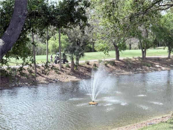 3555 N Laurel Greens Ln #202, Naples, Florida 34119, image 1