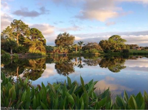 Colliers Reserve, 1419 Gormican Ln, Naples, Florida 34110, image 1