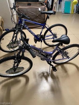 Artesia, 1330 N Oceania Dr #2, Naples, Florida 34113, image 1