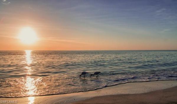 9054 N Capistrano St #4003, Naples, Florida 34113, image 1