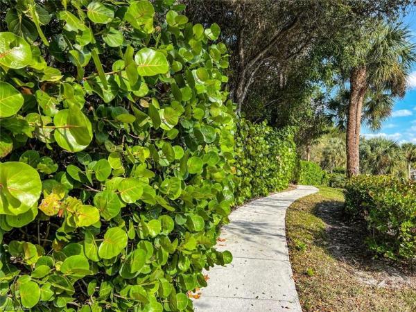 Calusa Bay South, 6812 S Satinleaf Rd #202, Naples, Florida 34109, image 2