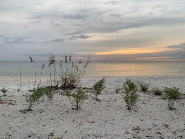 Dolphin Way, 25850 Hickory Blvd #101, Bonita Springs, Florida 34134, image 1