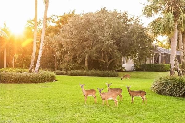 Fenhurst At Twin Eagles, 12614 Fenhurst Way, Naples, Florida 34120, image 1