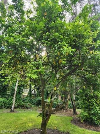 Oakes Estates, 5930 Spanish Oaks Ln, Naples, Florida 34119, image 1