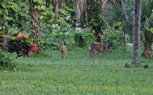 Logan Woods, 5061 Mahogany Ridge Dr, Naples, Florida 34119, image 1