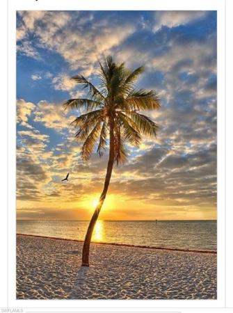 266 Barefoot Beach Blvd #504, Naples, Florida 34110, image 1