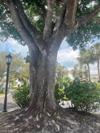 Pelican Ridge, 840 Meadowland Dr #10-1, Naples, Florida 34108, image 2
