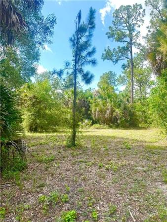 Golden Gate Estates, 2910 SE 6th Ave, Naples, Florida 34117, image 2