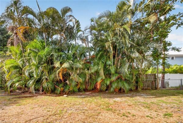 1420 Maravilla Ave, Fort Myers, Florida 33901, image 1