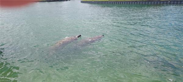 Admiralty Point, 2357 N Gulf Shore Blvd #107, Naples, Florida 34103, image 1