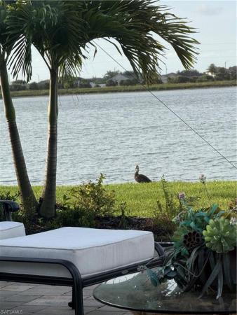 Stonewater, 847 W Stonewater Lake Ter, Cape Coral, Florida 33993, image 2