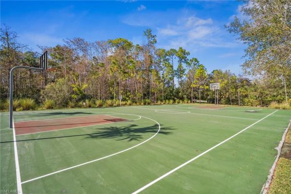 Raffia Preserve, 4115 Raffia Dr, Naples, Florida 34119, image 2