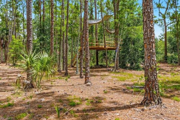 Oakes Estates, 5991 Golden Oaks Ln, Naples, Florida 34119, image 3