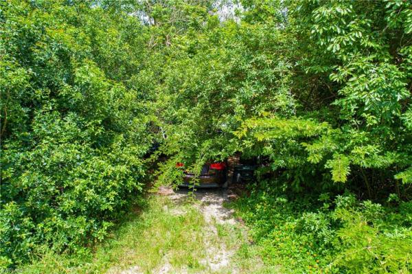 Naples No HOA, 11444 Laertes Ln, Naples, Florida 34114, image 3