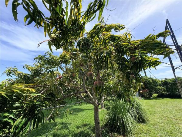Trail Acres, 125 4th St, Naples, Florida 34113, image 3