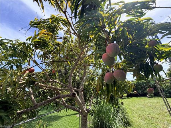 Trail Acres, 125 4th St, Naples, Florida 34113, image 2