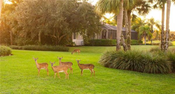Fenhurst At Twin Eagles, 12695 Kinross Ln, Naples, Florida 34120, image 1