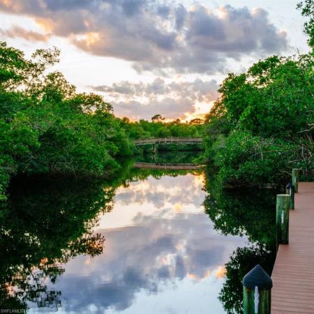Colliers Reserve, 11617 Useppa Ct, Naples, Florida 34110, image 3