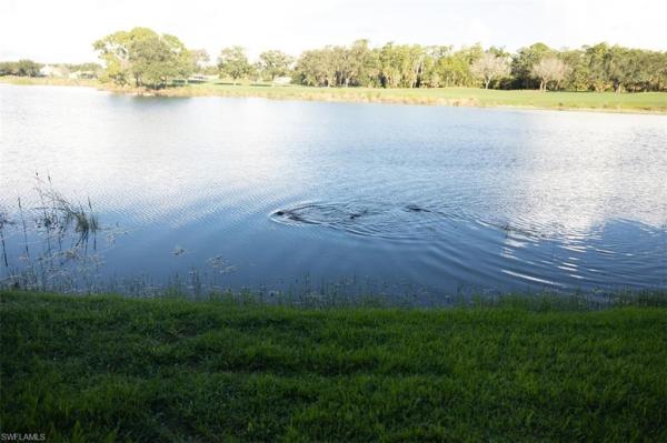6270 Bellerive Ave #303, Naples, Florida 34119, image 1