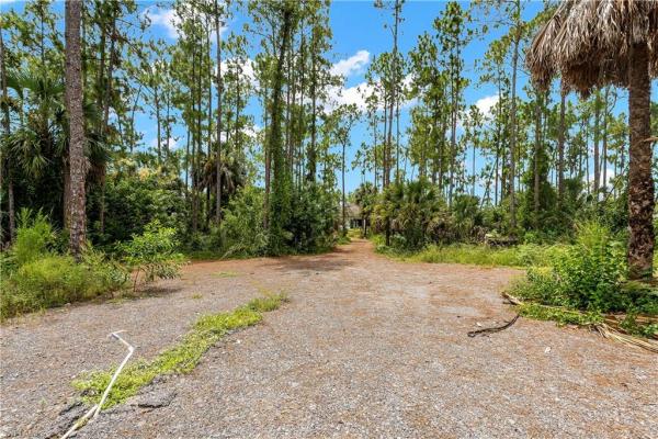Golden Gate Estates, 3677 NE 8th Ave, Naples, Florida 34120, image 1
