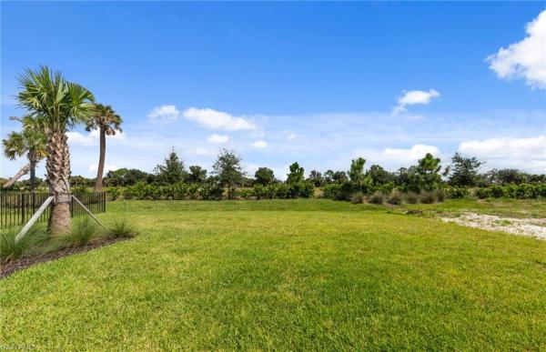12591 Quartz Dr, Babcock Ranch, Florida 33920, image 1