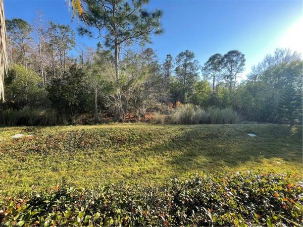 Cypress Woods RV Resort, 5935 Brightwood Dr, Fort Myers, Florida 33905, image 2