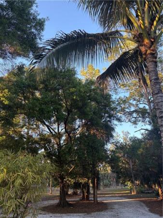Weber Woods, 3661 SW 7th Ave, Naples, Florida 34117, image 1