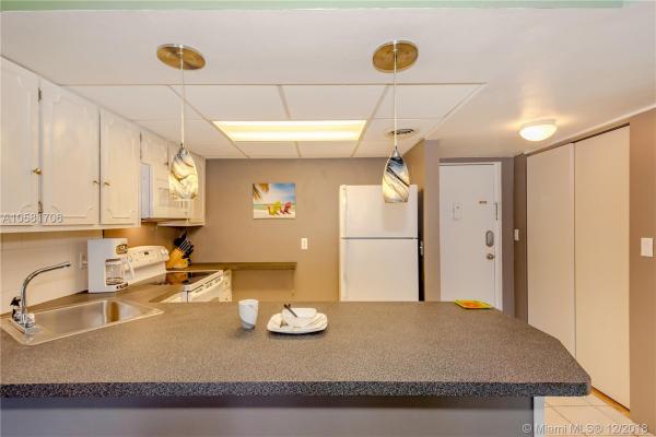 River Manor, 3002 NE 5th Ter #205-B, Wilton Manors, Florida 33334, image 2