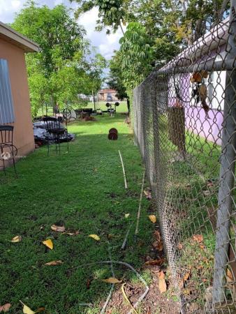 Dixie Pines, 12101 SW 215th St, Goulds, Florida 33177, image 2