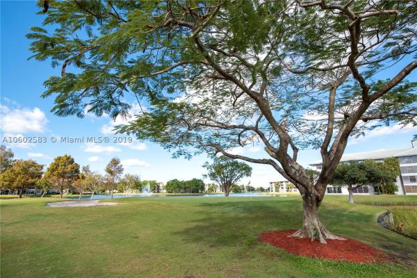 Whitehall 2 Of Pine Island Ridge, 1705 Whitehall Dr #201, Davie, Florida 33324, image 1