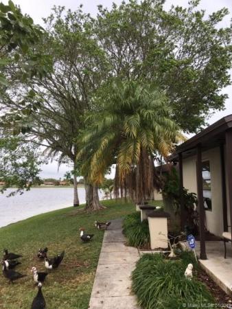 Bent Tree, 13974 SW 46th Ter #151, Kendale Lakes, Florida 33175, image 2