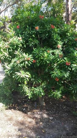 13275 SW 224th St, Redland, Florida 33170, image 2