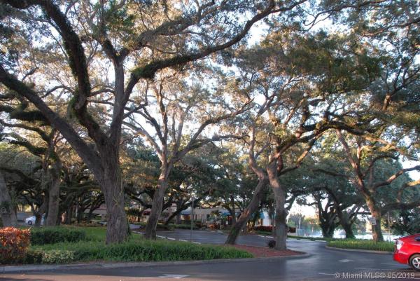 Sabal Palm Of Pine Island Ridge, 9531 Seagrape Dr #201, Davie, Florida 33324, image 2