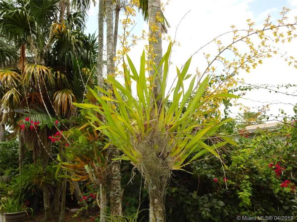 Farmwald Estates, 27889 SW 161st Ave, Redland, Florida 33031, image 2