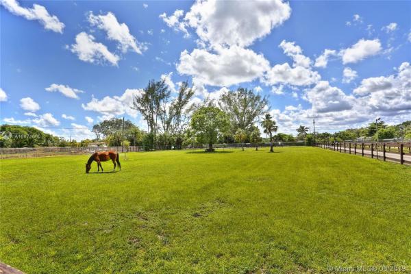 Horse Country, 6155 SW 123rd Ave, Kendale Lakes, Florida 33183, image 2