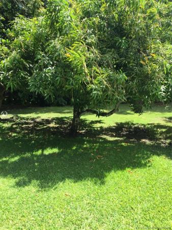 Baldusrol, 834 NW 21st Ave, Miami, Florida 33125, image 2