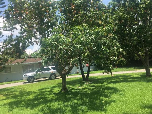 13255 SW 208th St, Redland, Florida 33177, image 2